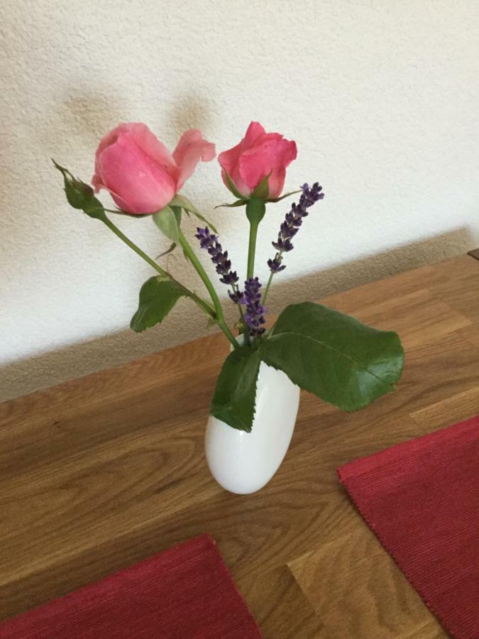 Ferienwohnung Bei Heike & Dirk Kassel Dış mekan fotoğraf